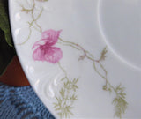 Haviland Limoges Cup And Saucer Antique French 1880s Schleiger 54 Pink Floral