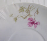 Haviland Limoges Cup And Saucer Antique French 1880s Schleiger 54 Pink Floral