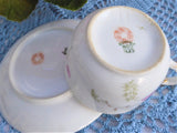 Haviland Limoges Cup And Saucer Antique French 1880s Schleiger 54 Pink Floral