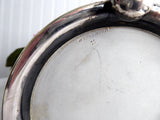 Wedgwood Biscuit Barrel Cookie Jar Wedgwood Jasperware Dip 1880s Bun Feet
