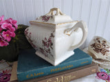 Brown Transferware Sucrier Sugar Box Tea Caddy Roses 1880s Canister Jar USA Burroughs