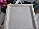 Brown Transferware Sucrier Sugar Box Tea Caddy Roses 1880s Canister Jar USA Burroughs
