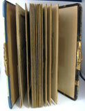 Victorian Photo Album Woman In Boat Celluloid Blue Velvet Back 1880s Cabinet Cards