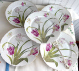 Rosenthal Versailles 5 Salad Plates Edwardian Botanlical Plates 1910s Victorian