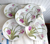 Rosenthal Versailles 5 Salad Plates Edwardian Botanlical Plates 1910s Victorian