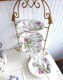Rosenthal Versailles 5 Salad Plates Edwardian Botanlical Plates 1910s Victorian