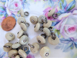High Button Shoe Buttons 21 Glove Buttons Taupe Vegetable Ivory 1890s Victorian