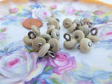 High Button Shoe Buttons 21 Glove Buttons Taupe Vegetable Ivory 1890s Victorian