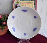 Grandmothers Blue Chelsea Cup And Saucer Adderleys Sprigged Ironstone 1890s
