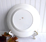 Victorian 10 Inch Imari Dinner Plate Colclough 1890s England Swags Gold Rust Cobalt Green