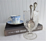 Bleeding Heart Spooner Victorian 1890 King And Son Spoon Vase EAPG