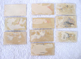 Victorian Calling Card Set Of 10 Flowers Birds Mottos Various 1880-1900 Visiting Cards