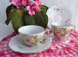 Pair 1890s German Pinks Roses Demitasse Cups And Saucers Porcelain Victorian Era