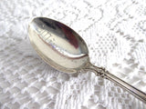 Spoon Sterling Silver Illinois Souvenir Watson Silver 1890s Engraved Monogram B O