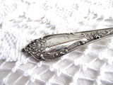 Spoon Sterling Silver Illinois Souvenir Watson Silver 1890s Engraved Monogram B O