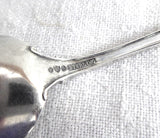 Fancy Bristol Colorado Sterling Silver Souvenir Spoon 1890s Fully Embossed Engraved Bowl