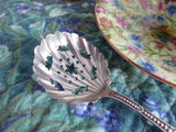 Edwardian Sterling Silver Sugar Sifting Spoon Fancy Paisley Holes Sugar Fan Shaped USA