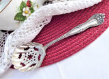 Edwardian Sterling Silver Sugar Sifting Spoon Fancy Paisley Holes Sugar Fan Shaped USA