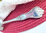 Edwardian Sterling Silver Sugar Sifting Spoon Fancy Paisley Holes Sugar Fan Shaped USA