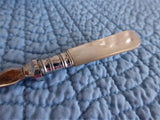Edwardian Sugar Sifting Spoon Mother Of Pearl Handle EPNS England MOP