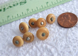 Vegetable Ivory Shoe Buttons 7 Tan Glove Buttons Pin Shank 1890s Buttons Victorian