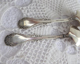 Soup Spoon Pair Hanover Rogers 1901 Bouillion Art Nouveau Silverplate No Mono