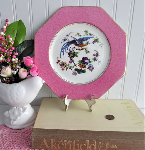 Fantasy Bird Plate Pink Hexagonal Edwardian Fantasy Bird Wedgwood 1906