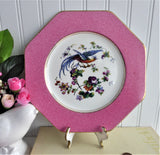 Fantasy Bird Plate Pink Hexagonal Edwardian Fantasy Bird Wedgwood 1906
