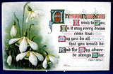 Antique New Year 1906 Postcard Postcard Happy New Year Snowdrops Poem Maine