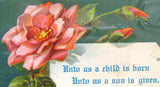Christmas Scripture Postcard 1910s Embossed Rose Isaiah 9:6 For Unto Us