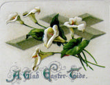 Easter Greeting Card Embossed Lillies Postcard Poem Mumps Report 1910s
