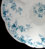 Shelley Edwardian Blue Rose Sprays Lily Serving Plate 1900 Rambling Rose Aqua