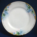 Plate Hand Painted Plate Forget Me Nots 1910-1920s Japan Porcelain 6.5 Inch Artist Side