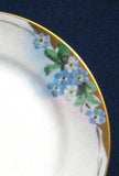 Plate Hand Painted Plate Forget Me Nots 1910-1920s Japan Porcelain 6.5 Inch Artist Side