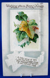 Embossed Christmas Postcard 1910 Wishing You A Merry Xmas Ivy Poem