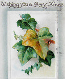 Embossed Christmas Postcard 1910 Wishing You A Merry Xmas Ivy Poem