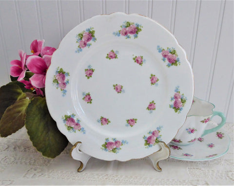 Shelley Salad Plate Dessert Roses Forget-Me-Nots Gainsborough 7 Inches In Diameter