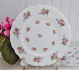 Shelley Salad Plate Dessert Roses Forget-Me-Nots Gainsborough 7 Inches In Diameter