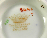 Edwardian Imari Colors Cup And Saucer Heavy Gold 1920s Taylor And Kent England