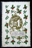 Embossed Postcard Compliments Jan 1st Embossed 1912 Holly Gold Medal Art