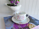 Orchid Cup And Saucer 1910s Rosenthal Lavender Orchids Donatello