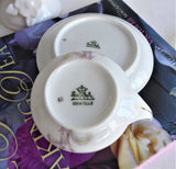 Orchid Cup And Saucer 1910s Rosenthal Lavender Orchids Donatello