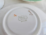 Art Deco Shelley Cup and Saucer Rare Borgfeldt Aqua Enamels  GrapesGainsborough 1920s