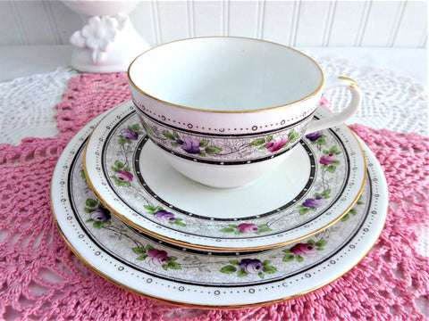 Shelley Rose Border Cup And Saucer With Plate Rose Lace 1920s Bute Teacup Trio