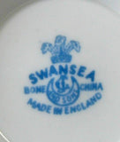 George Jones Blue Bird Cup And Saucer Swansea Rare 1920s Blue Transfer
