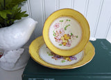 Cheery Yellow Floral Cup And Saucer Tuscan Enamel Accents On Transfer 1920s Bone China