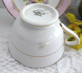 Pretty Pink Floral Cup And Saucer Tuscan Enamel Accents On Transfer 1920s Bone China