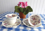 Swallow Wedgwood Cup And Saucer Pair Polychrome Transferware 1920s Cream Ware