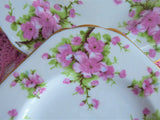 Side Plate Pair Chelsea Pink Peach Blossoms English Bone China 6 Inch Square