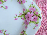 Side Plate Pair Chelsea Pink Peach Blossoms English Bone China 6 Inch Square